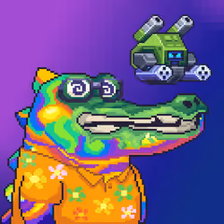 Croc #9774