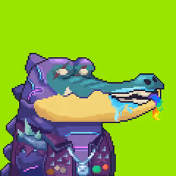 Croc #5528