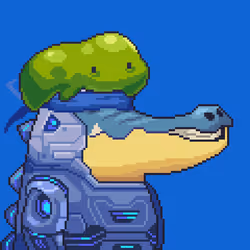 Croc #3993