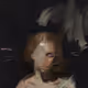 223