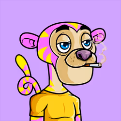 2029