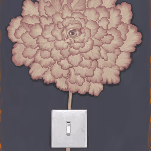 The 1973s Collection