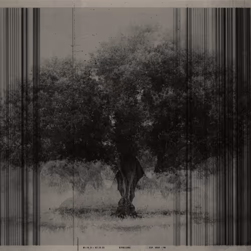 GIVOLLARA by Gary Edward Blum