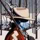 Outlaw #8494