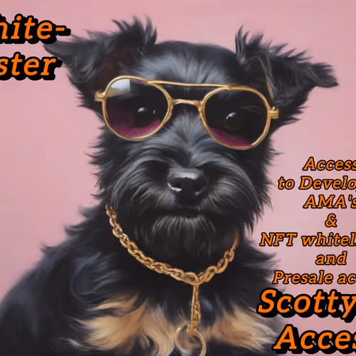 Scotty Ai 1
