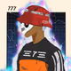 4244