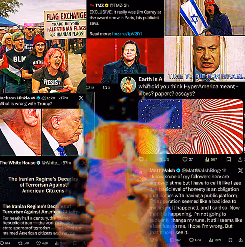 Item #312 Media