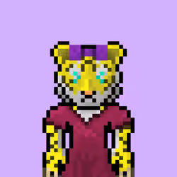 Lost Tigerz #4207