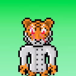 Lost Tigerz #1997