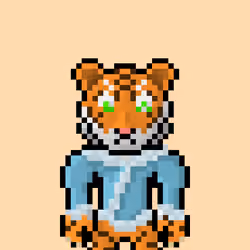Lost Tigerz #6407