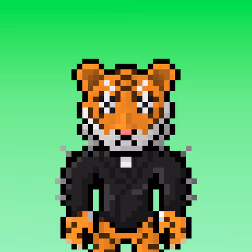 Lost Tigerz