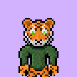 Lost Tigerz #9107