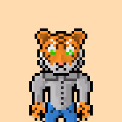 Lost Tigerz #9578
