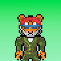 Lost Tigerz #9237