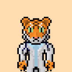 Lost Tigerz #1172