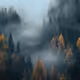 Moods - HXxC58VqF2