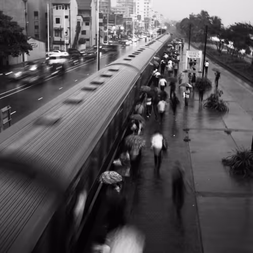 Life in Grayscale