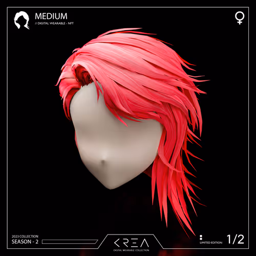 Item #220 Media