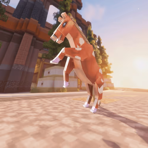 Bera Horses
