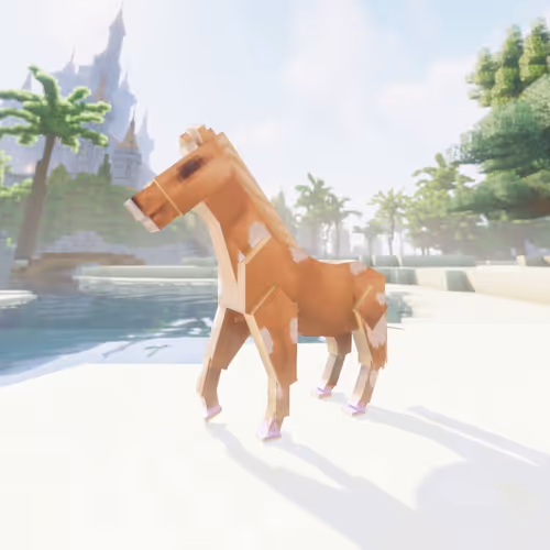 Bera Horses