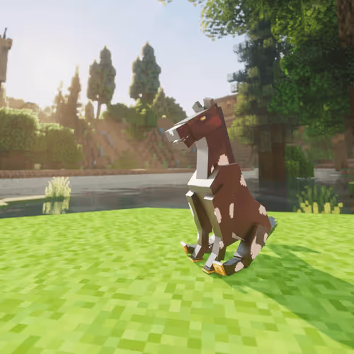 Bera Horses