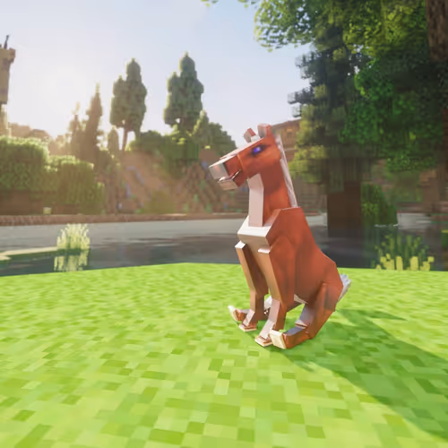 Bera Horses