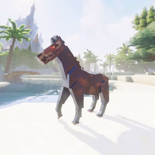Bera Horses
