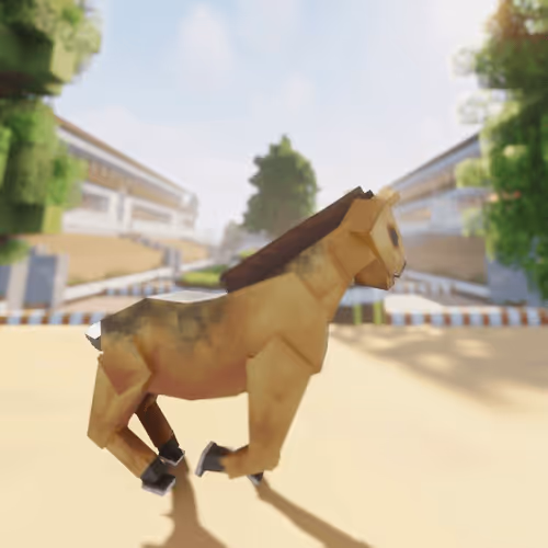 Bera Horses