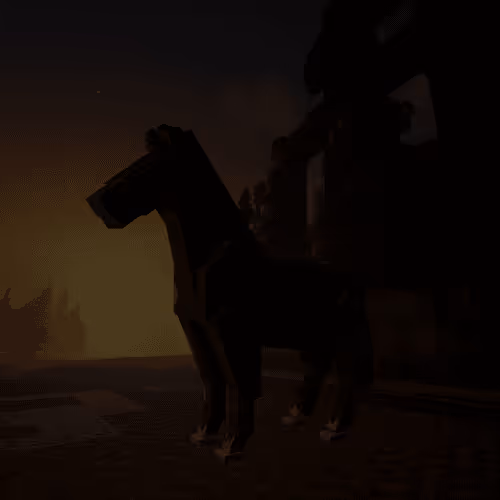 Bera Horses