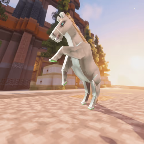 Bera Horses