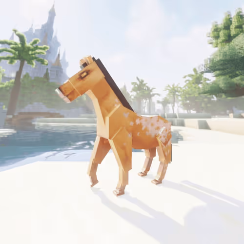 Bera Horses