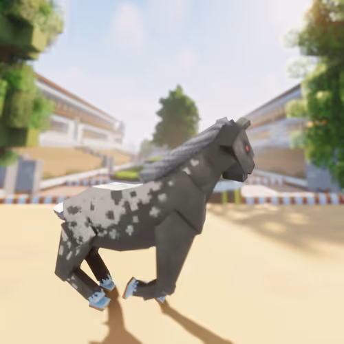 Bera Horses