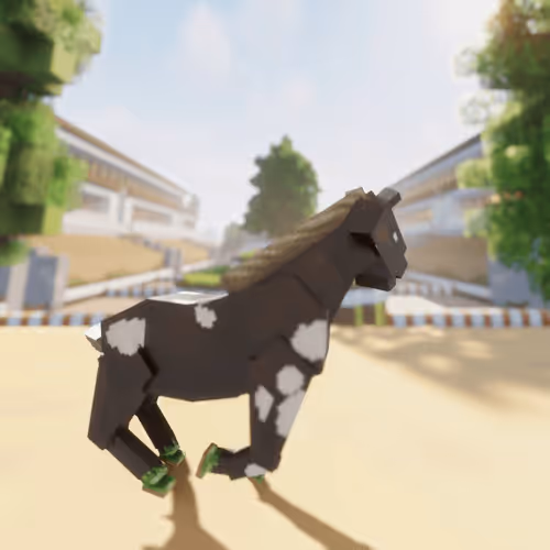 Bera Horses
