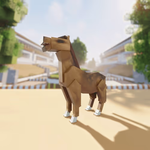 Bera Horses