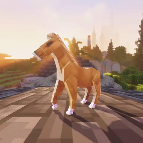 Bera Horses