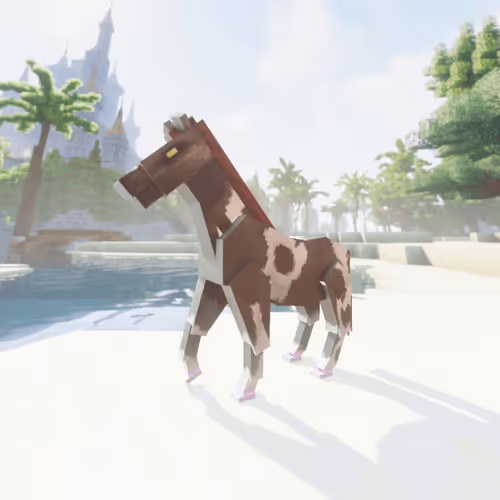 Bera Horses
