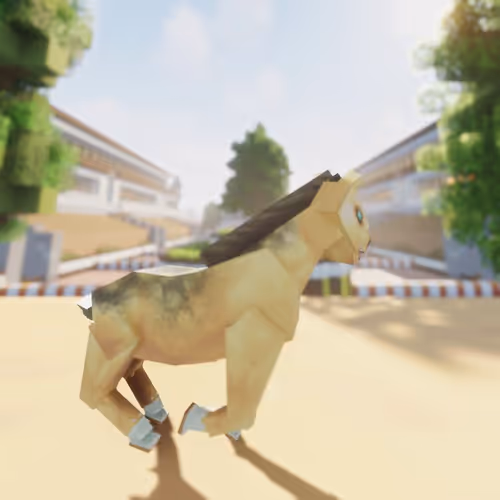 Bera Horses