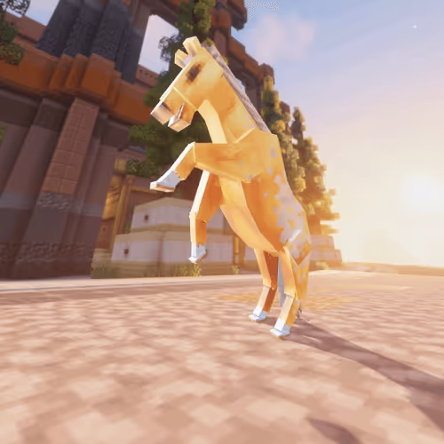 Bera Horses