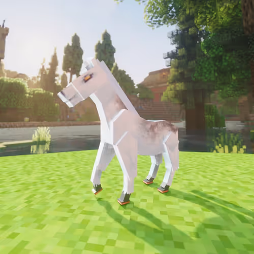Bera Horses