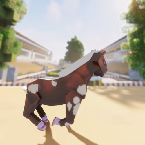 Bera Horses