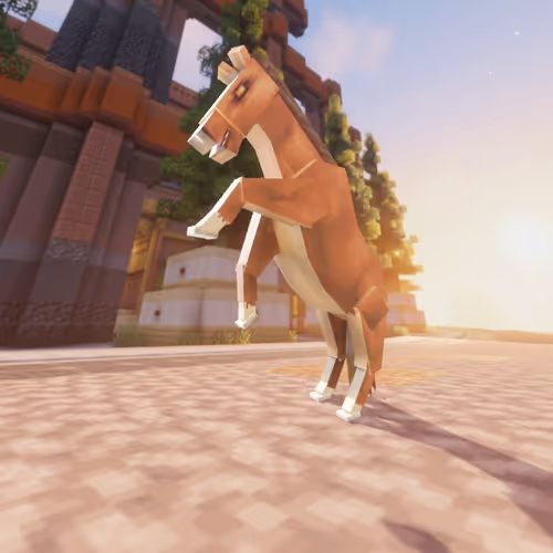 Bera Horses