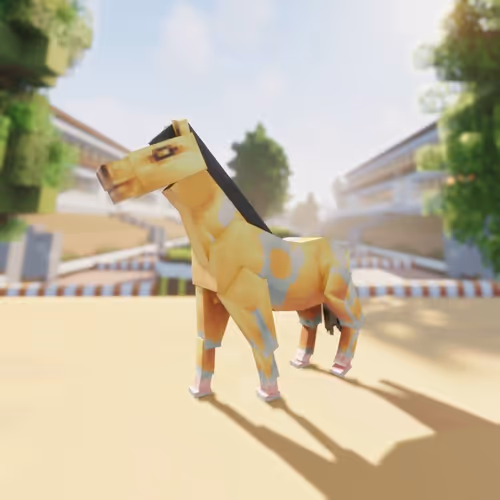 Bera Horses