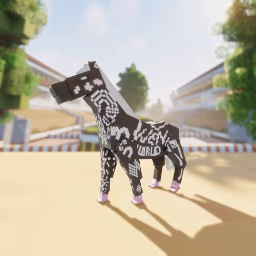 Bera Horses