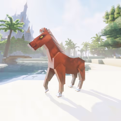 Bera Horses