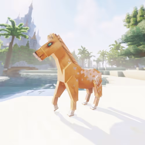 Bera Horses