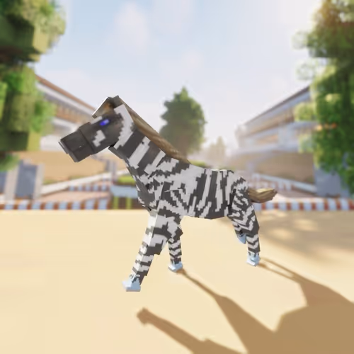 Bera Horses