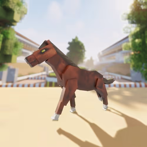 Bera Horses