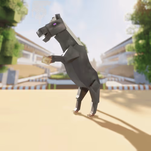 Bera Horses