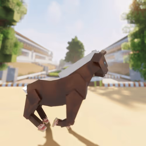 Bera Horses