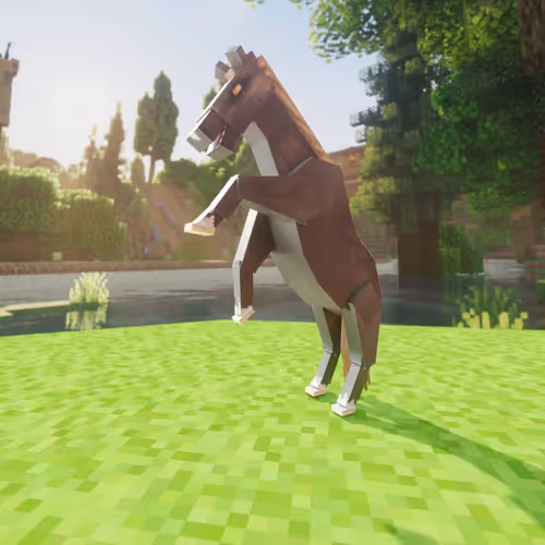 Bera Horses